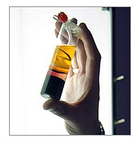 Platelet-Rich Plasma (PRP)